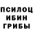 Галлюциногенные грибы Psilocybe Darcy D