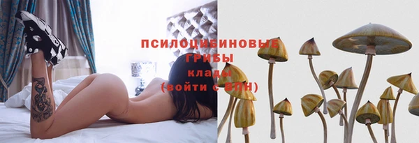 a pvp Богородицк