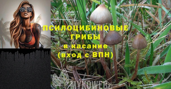 гашиш Богданович