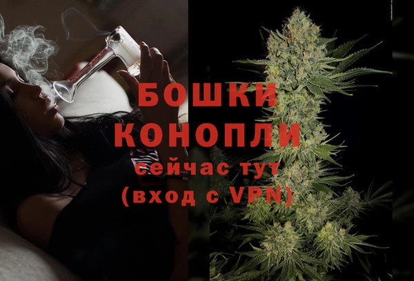 гашиш Богданович