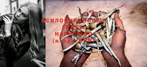 гашиш Богданович
